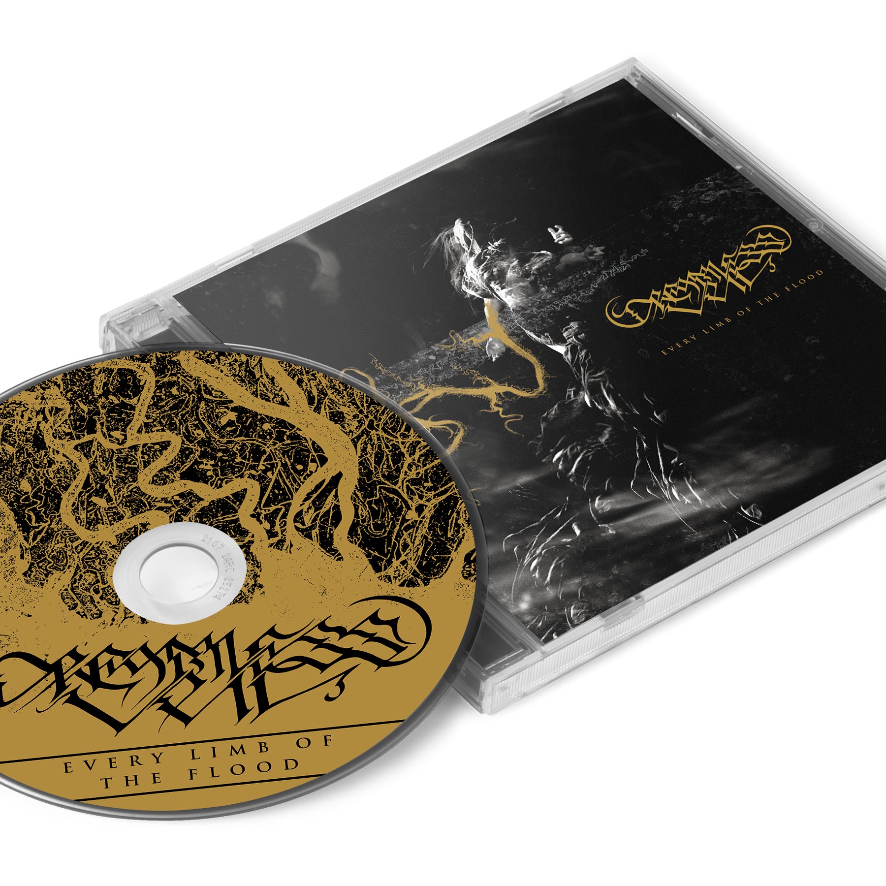 Dreamless Veil 