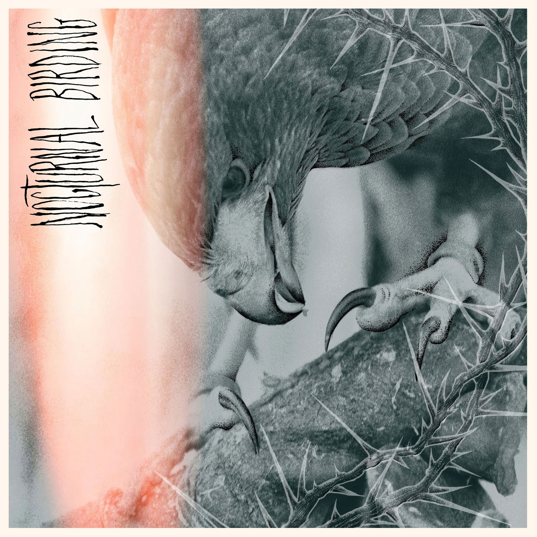 Author & Punisher "Nocturnal Birding" 12"