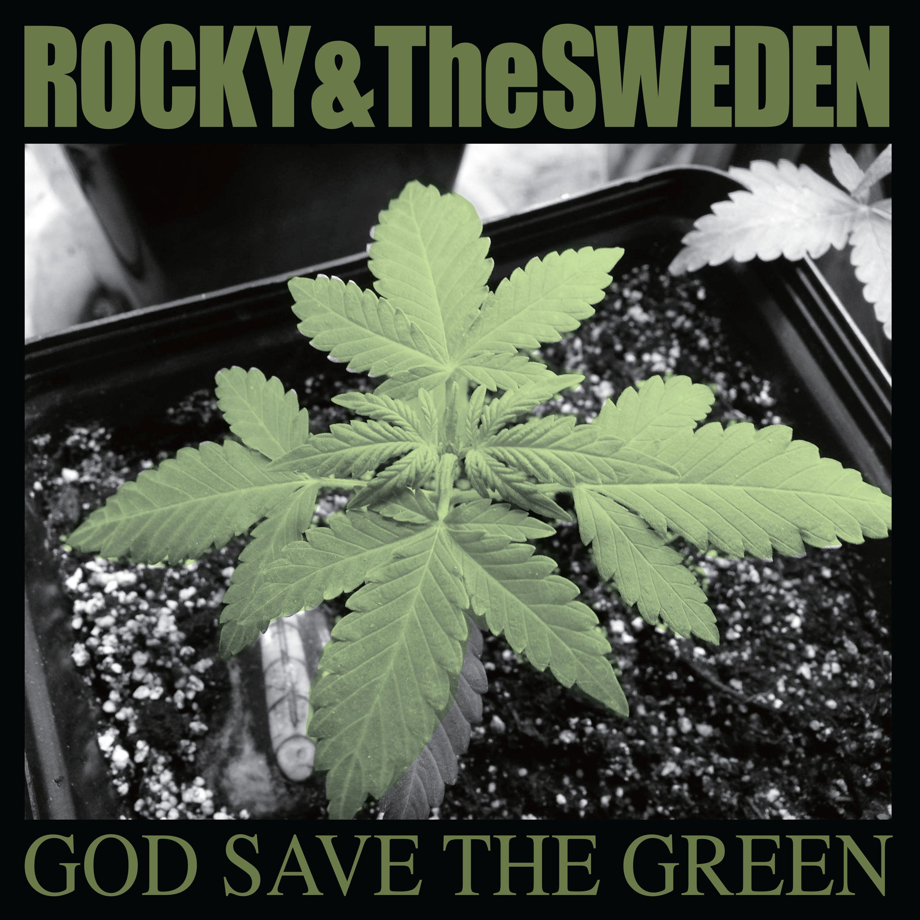 Rocky & The Sweden 