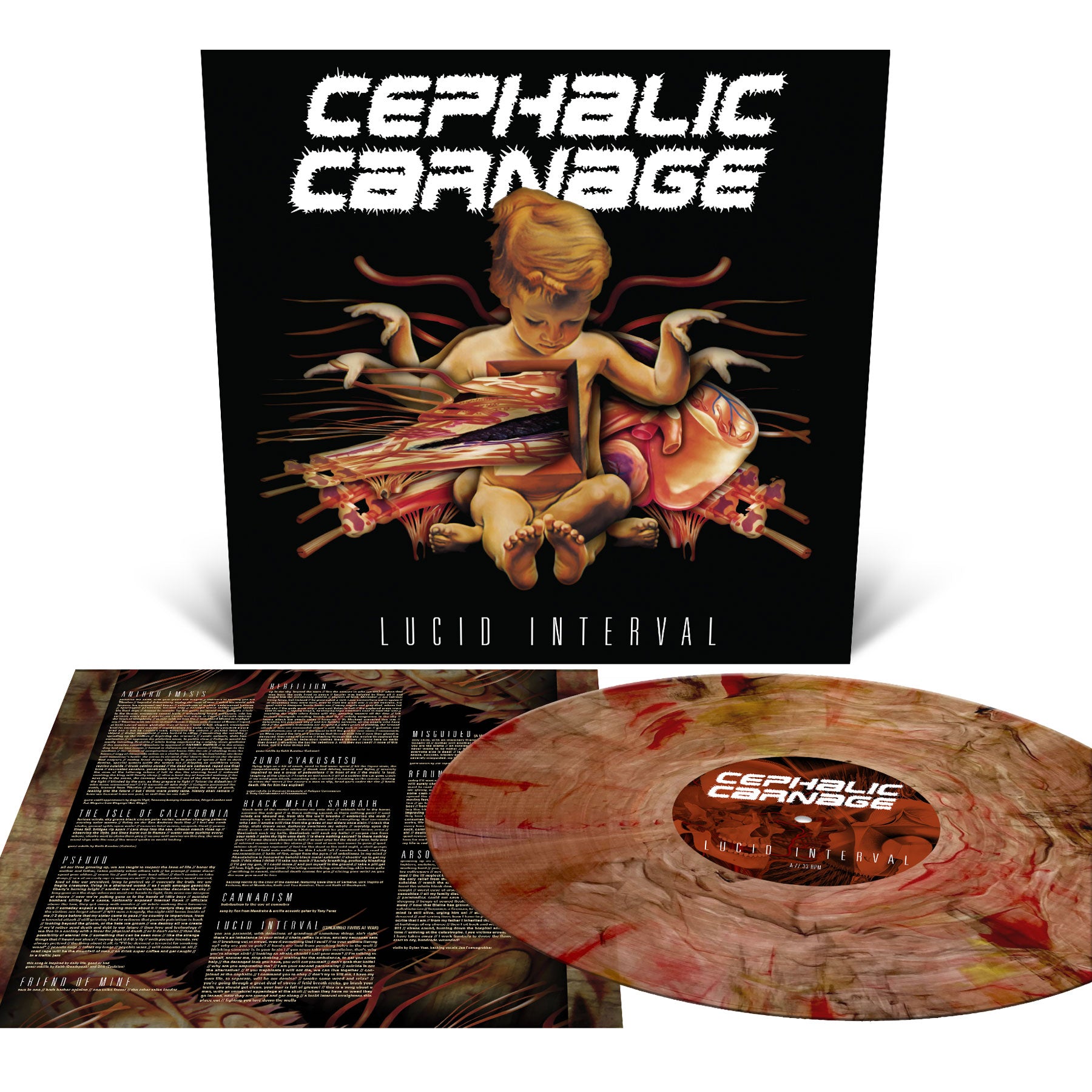 Carnage Cadaver スプリット盤 '90 デスメタル f4e9208dbf166039ccd5d9dda4979c